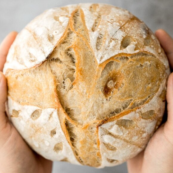 DEHYDRATED SOURDOUGH STARTER 2 OUNCE PACKAGE - Picture 6 of 16